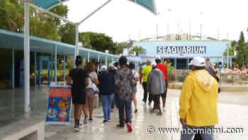 Miami Seaquarium to fight lease termination by Miami-Dade County