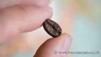 Verband: Kaffeemangel und Preisanstieg ab 2025 in der EU möglich