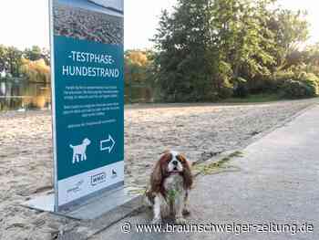 Zankapfel Hundesteuer in Wolfsburg: So viel kassiert die Stadt