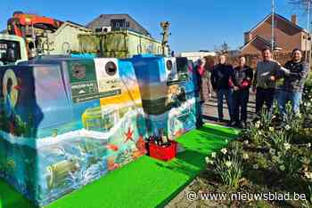 Kleurrijke glasbollen gaan strijd aan met sluikstort: “Inwoners aanmoedigen site proper te houden”