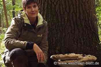 Expertin aus Warburg bietet Ausbildung zum Pilz-Coach an