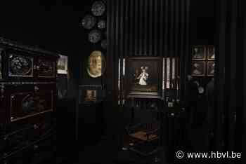 Klimaatactivisten protesteren tegen privéjets bij kunstbeurs TEFAF in Maastricht