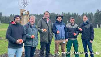 Vergessene Obstsorten: Erhaltungs-Garten in Riedering beherbergt alte Apfel- und Birnensorten