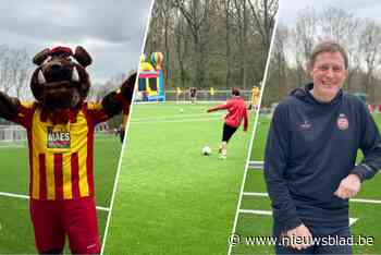 Nieuw kunstgrasveld van KSV Bornem getest en goedgekeurd op feestelijk openingstoernooi