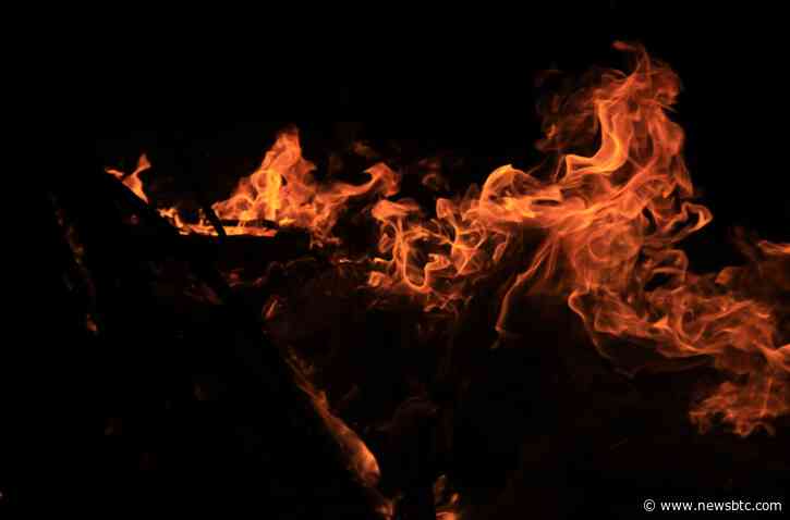 Shiba Inu Mania: Price Surges 60% As Burn Rate Heats Up Over 22,000%