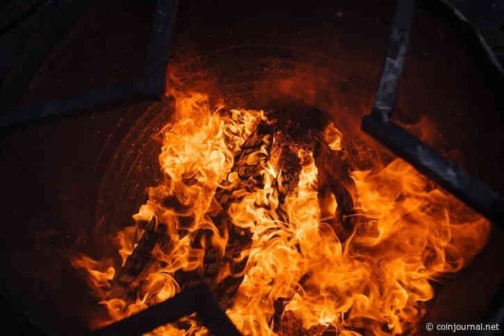 FLOKI successfully executes 190 billion token burn