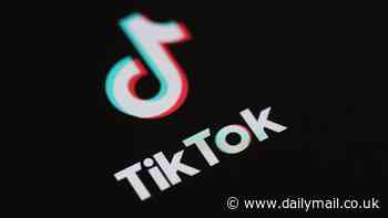 TikTok users reveal the REAL reason why they deleted the ultra-addictive app