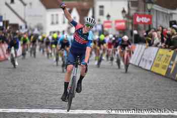 BRAIN² Olympia Tienen blijft ook zonder steun van profploeg grote naam in het jeugdwielrennen: “Ja, ook wij plukken renners weg bij andere ploegen”