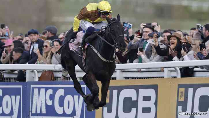 How to watch the 2024 Cheltenham Festival online for free