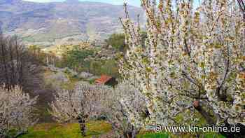 Valle del Jerte: Spaniens Naturparadies in Extremadura