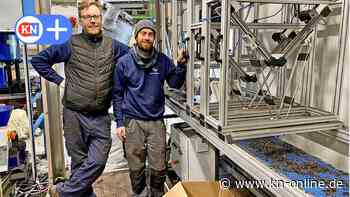Baltic Materials in Kiel: Seegras wird bei Start-up zum Geschäftsmodell