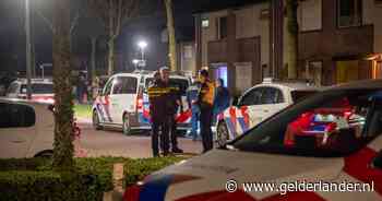 Agent raakt gewond door politiehond bij aanhouding van verwarde man in Babberich