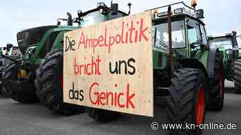 Bauern-Proteste: Die Landwirte brauchen eine bessere Strategie