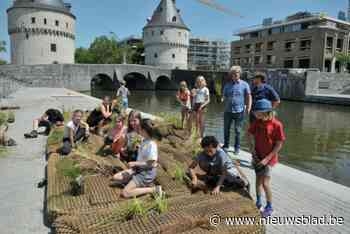 Drijvende eilanden van 100.000 euro zinken een na een: “We onderzoeken de zaak”