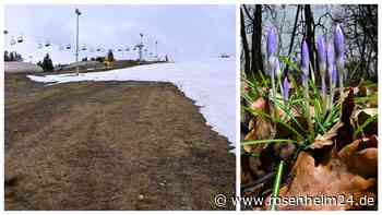 Februar bricht Temperatur-Rekorde: Was das für Natur und Wintersport im Chiemgau bedeutet