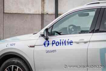 Alarmpistool gestolen uit circustent