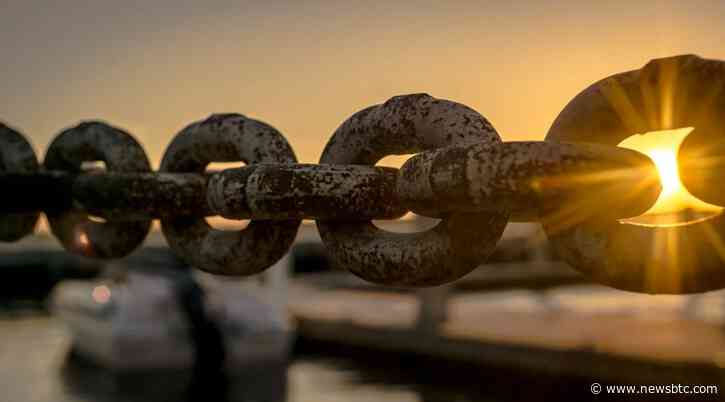 Crypto Whales Bet Big On LINK – Is Chainlink The Next Bitcoin?