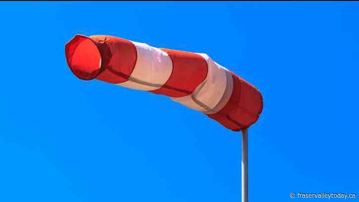 Powerful winds knock out electricity across sections of the B.C. lower mainland