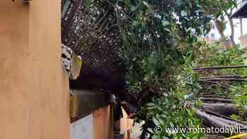 Vento a Roma, cade albero nel giardino di una scuola