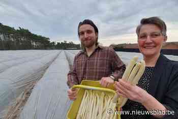 Daar zijn de eerste asperges uit volle grond… maar ze zijn nog niet te koop