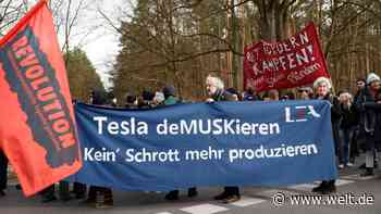 Umweltaktivisten demonstrieren gegen Tesla-Erweiterung