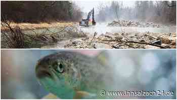 Umbau-Maßnahmen an der Alz: Wie stehen die Fischer dazu?
