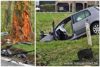 Man kritiek en vrouw zwaar gewond na klap tegen boom