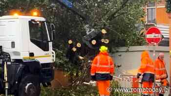 Maltempo, lunedì 11 marzo chiusa la scuola Giacomo Badini per il crollo di un albero. Via Sales messa in sicurezza dopo il cedimento di un muro