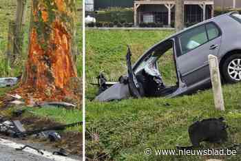Man kritiek en vrouw zwaargewond na klap tegen boom