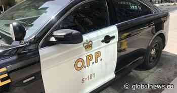 Two women in serious condition following incident on Highway 6 in Hamilton, Ont.
