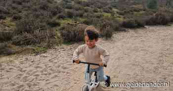 Ha, eindelijk echt lekker weer in het weekend: deze foto’s stuurden lezers van een mooie lentedag