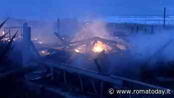 Capocotta, incendio al Mecs Village: sei chioschi in fiamme