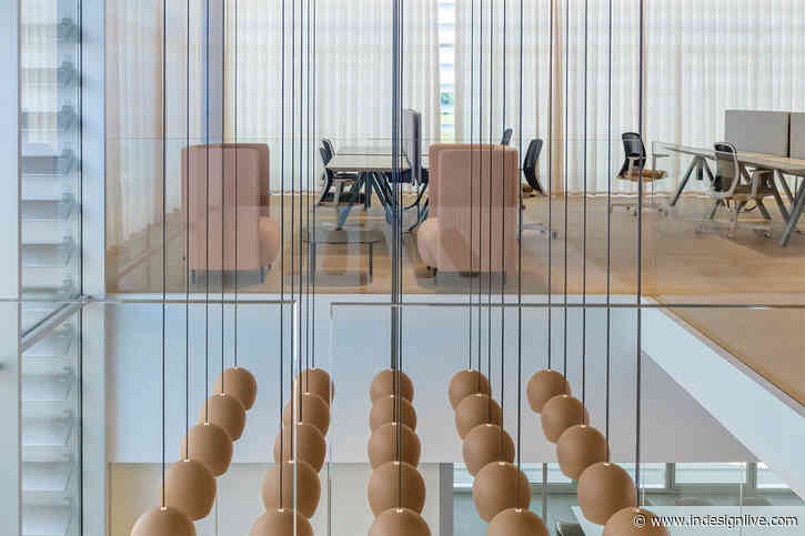 Harmony & well-being at the Pedrali Collaborative Space