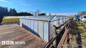 Glasshouses to be used to grow affordable food