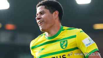Norwich thump lacklustre Rotherham to go sixth