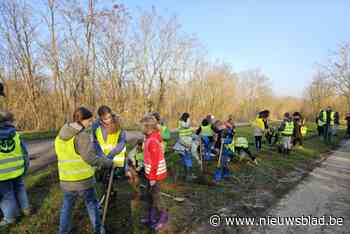 Leerlingen van basisscholen planten bomen op de Kratenberg