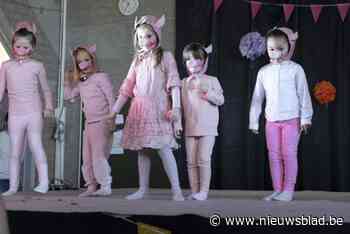 Biggetjes, baby’s en poesjes stelen de show tijdens grootouderfeest