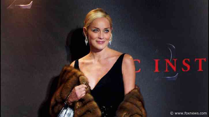 Sharon Stone's roles in 'Basic Instinct', 'Casino' and 'Total Recall' launched the actress' successful career