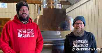 N.B. maple syrup producers report early start to season