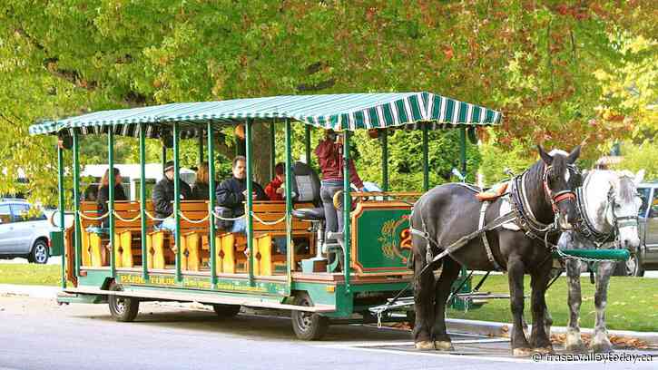 Community associations attempt to save Vancouver Park Board