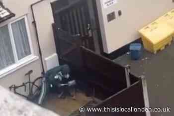 Hackney dog owner banned after man beat pet with shovel