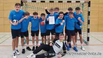 Jugend trainiert für Olympia: Nagolds OHG-Handballer  holen sich im Land   den dritten Platz