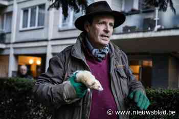 Rattenvanger Jean kwam met zijn opvallende methode meermaals in de wereldpers: “Gruwelijk? Het is ethischer dan vergif”