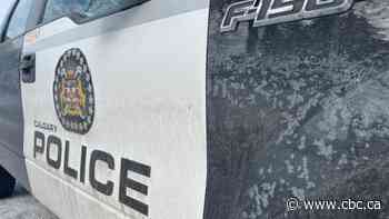 Calgary police investigating 'undetermined death' after discovering body near the Bow River