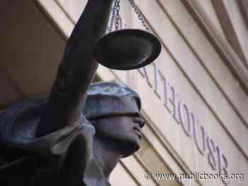 Can Literature Shape Law?