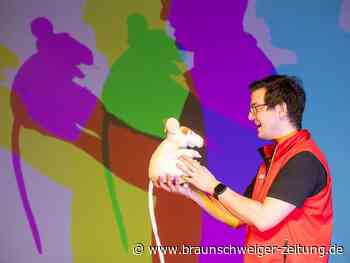 Osterferien im Phaeno Wolfsburg: Licht-Show und Kükenschlupf