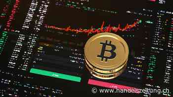 Bitcoin eilt von Rekord zu Rekord - 80'000 Dollar im Visier