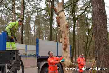 Essen verwelkomt gids Danny de eekhoorn in de Wildertse Duintjes: natuurleerpad bijna klaar