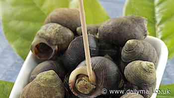 Snails with a side of knotweed, anyone? Biologist wants you to EAT invasive animals and plants 'to save the environment' - as he tells DailyMail.com which are the tastiest!