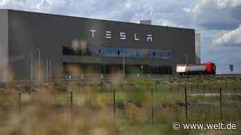 Produktion bei Tesla könnte früher als gedacht wieder anlaufen